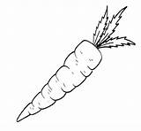 Carrot Carrots Openen sketch template