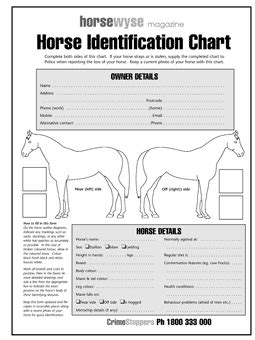 horse identification chart  httpwwwhorsewysecomau