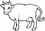 Coloriage Belajar Sapi Mewarnai Vacas Lembu Sketsa Imprimer Kolase Cow Hewan Tk Vaches Vaca Mewarna Vache Ganado Koleksi Warnaigambartk Cows sketch template