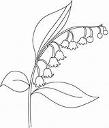 Flower Bellflower Drawing Coloring Beautiful Pages Outline Flowers Easy Realistic Kids Embroidery Choose Board Drawings Bestcoloringpages sketch template