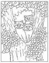 Raccoon Raccoons Coloringpagesbymradron Adron sketch template