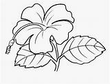 Bunga Putih Hitam Raya Mewarna Pokok Lukisan Senang Cikgufareez Mewarnai Sayuran sketch template