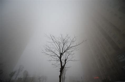 eerie   air pollution  china business insider