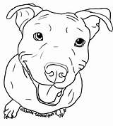 Pitbull Drawing Dog Face Bull Drawings Pit Clipart Step Clip Stencil Puppy Sketch Tattoo Silhouette Outline Easy Coloring Pages Line sketch template