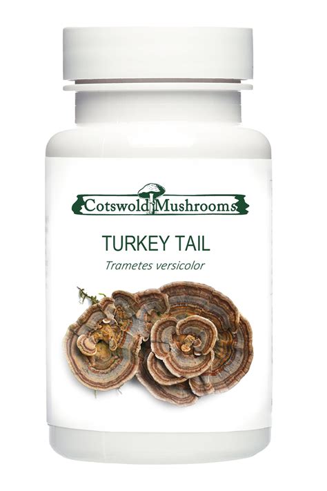 turkey tail mushroom capsules cotswold mushrooms