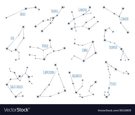 zodiac star constellations astrology signs vector image