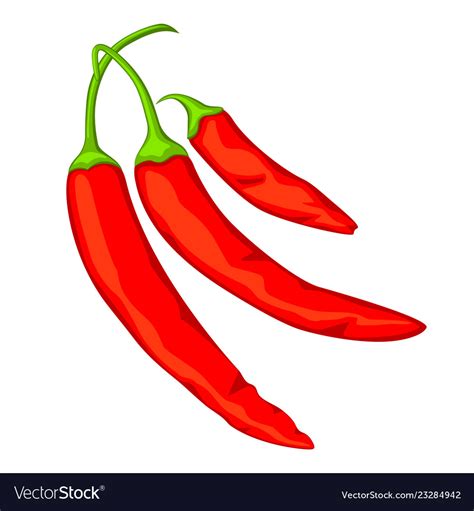cartoon hot red chilli pepper branch royalty  vector