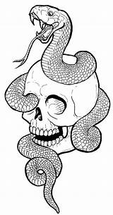 Snake Skull Drawing Side Drawings Clipartmag Paintingvalley sketch template