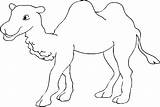 Colouring Pages Animal Edding sketch template