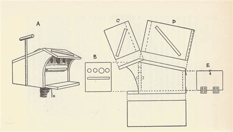 wooden bird house plans tree swallows  plans