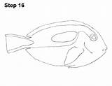 Tang Blue Fish Draw Regal Drawing How2drawanimals sketch template