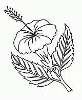 Coloring Pages Hawaiian Flowers Printable Flower Popular sketch template