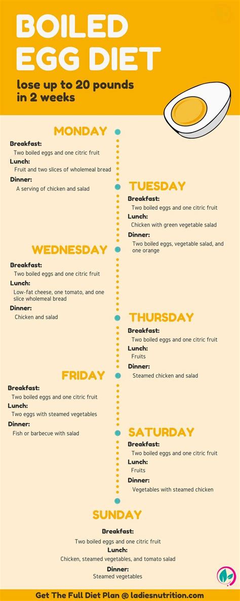 egg diet diet plan