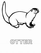 Otter Coloring Pages Sea Popular Baby Printable Categories Similar Coloringhome sketch template