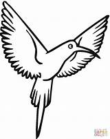 Kolibri Designlooter Hummingbird sketch template