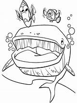 Nemo Coloring Finding Pages Marlin Dory Whale Crush Bruce Mouth Color Getcolorings Printable Meet Queens Library Unique Clip Comments Getdrawings sketch template