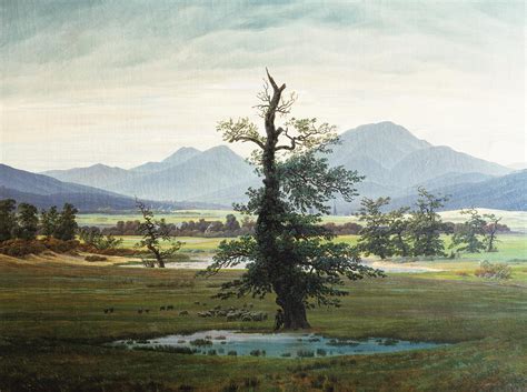 kunstdruck der einsame baum von friedrich caspar david