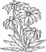 Coloring Pages Nature Printable Popular Flowers Coloringhome sketch template