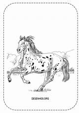 Cavalos Realistas Cavalo Desenho Realista Trouxemos Vocês sketch template