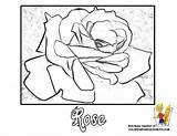 Roses Coloring Traceable Flowers Pages Rose Dad Printable Colouring Flower Color Clip Anbu Sheet Library Boys Popular Clipart Coloringhome sketch template