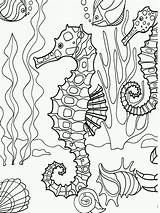 Coloring Adult Pages Seahorse Underwater Popular sketch template