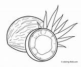 Coloring Coconuts 4kids sketch template
