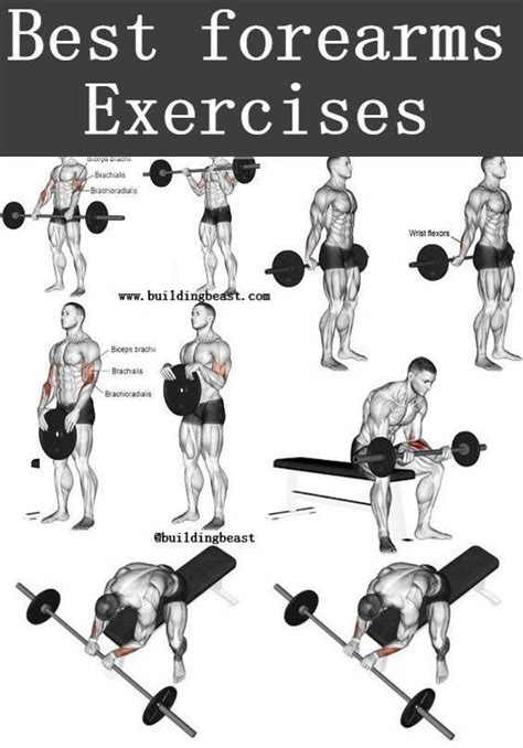 forearms exercises  men forearm workout  forearm