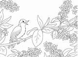 30seconds Nightingale Zingt Bloemen Tak Mom Markers Colored sketch template