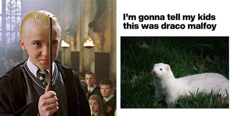 8 draco malfoy memes that sum up his role in every harry potter movie
