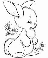 Easter Coloring Pages Bunny Rabbit Cute Print Preschool Cliparts Printable Drawing Rabbits Clipart Little Computer Designs Use Animal sketch template