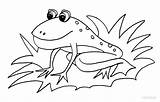 Toad Cool2bkids sketch template