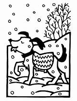 Winter Sweater Snow Coloring During Warm Dog Season Netart Color sketch template