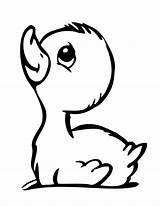 Duck Outline Clipart Rubber Cute Drawing Baby Clip Coloring Library Pages sketch template