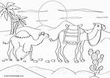 Camels Camel Desert Yellowimages sketch template