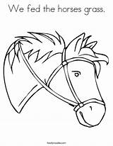 Bronco Horses sketch template