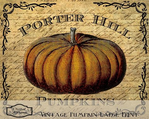 vintage pumpkin print  framing printable digital  etsy