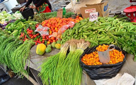 guyana  international year  fruit vegetables stabroek news