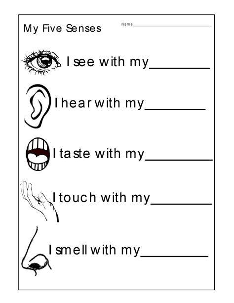 senses worksheets