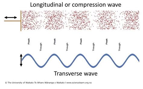 diagram  transverse wave