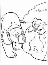 Brother Bear Coloring Kids Children Pages sketch template
