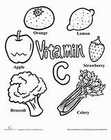 Worksheets Worksheet Vitamins Celery Getdrawings sketch template