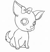 Chihuahua Coloring Pages Chiwawa Cute Bow Dog Drawing Printable Kids Cartoon Color Getcolorings Book Netart Comments Getdrawings Colorings Print Coloringhome sketch template