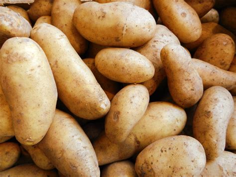 gesunde kartoffeln aus besten boeden gut kremsdorf