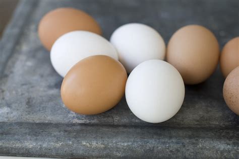 rotten eggs yield  million fine  iowa company nbc news