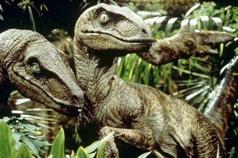 raptor noises in ‘jurassic park were made from the sounds