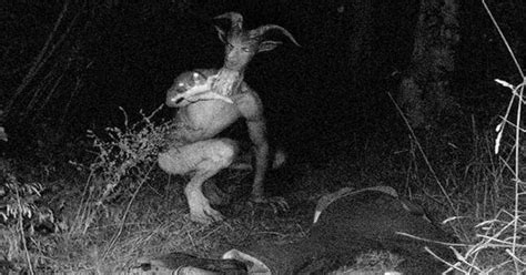 top 10 scariest unexplained trail cam photos from