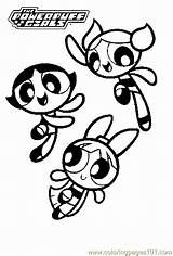 Girls Powerpuff Coloring Pages Power Book Puff Girl Kids Powderpuff Sheets Printables Printable Cartoon Sleepover sketch template