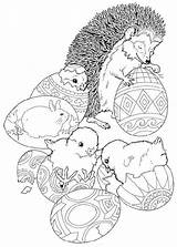 Hedgehog Kleurplaat Coloriage Colorat Kleurplaten Ausmalbilder Egel Igel Animale Egels Arici P18 Bosco Eggs Ricci Boucle Stampare Planse Coloriages Erizos sketch template