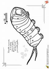 Coloriages Insects sketch template