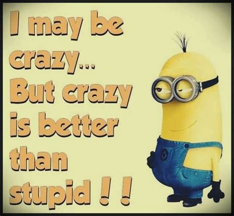 I May Be Crazy But Crazy Is Better Then Stupid